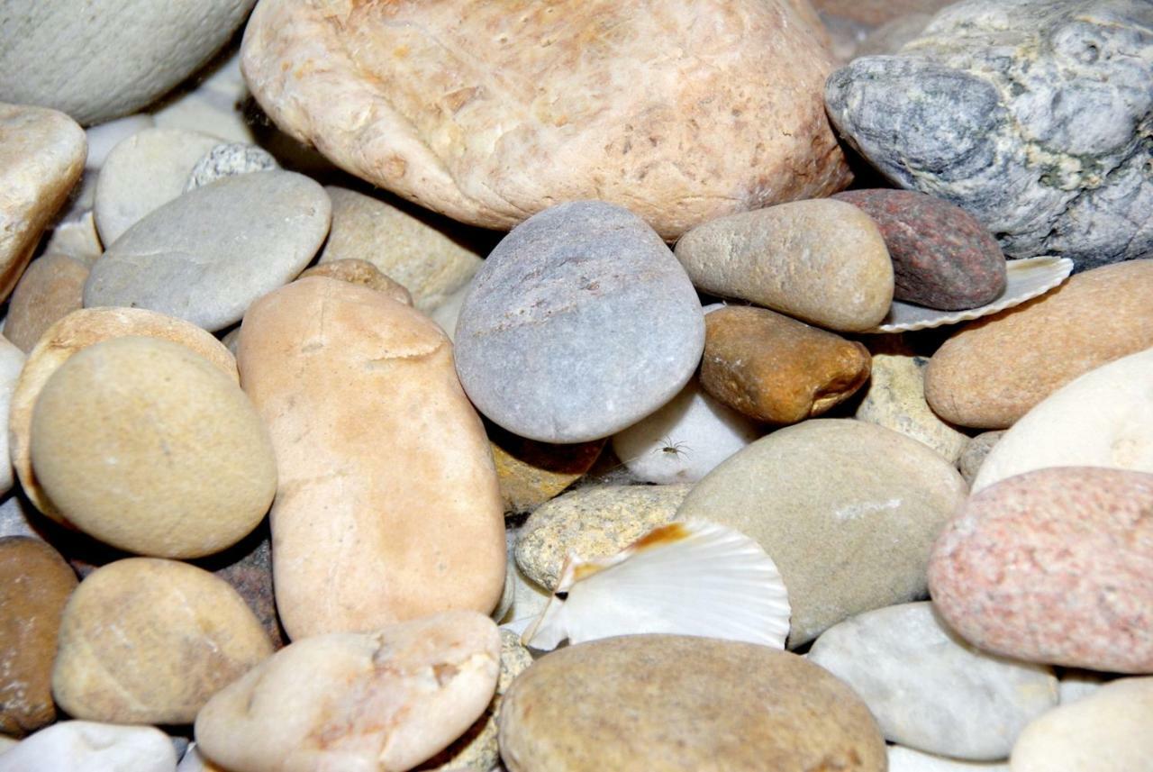 مبيت وإفطار Soullans O'Maxethel المظهر الخارجي الصورة